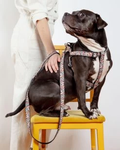 DOG & CO. COLLECTION Step-In Dog Harness In Camo Leopard (Made In NYC)