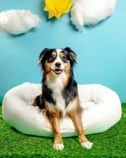BOWSER'S PET PRODUCTS Donut Dog Bed In Marshmallow Micro-velvet (Direct-Ship)