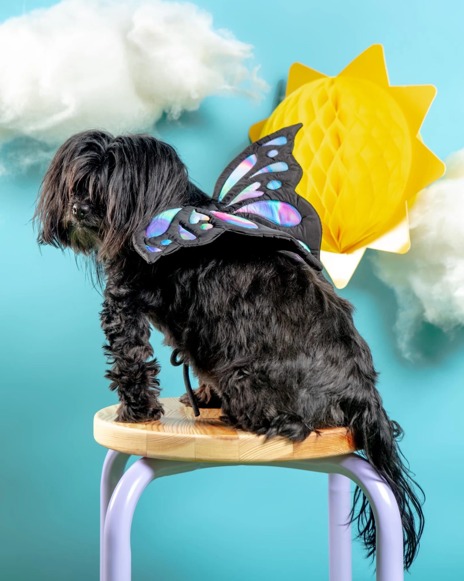 DOGO Adjustable Tie-On Butterfly Wings For Dogs - Image 3