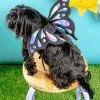 DOGO Adjustable Tie-On Butterfly Wings For Dogs