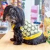 ICECREAMTREE STUDIO Flower Mesh Dog Shirt (Made In The USA)
