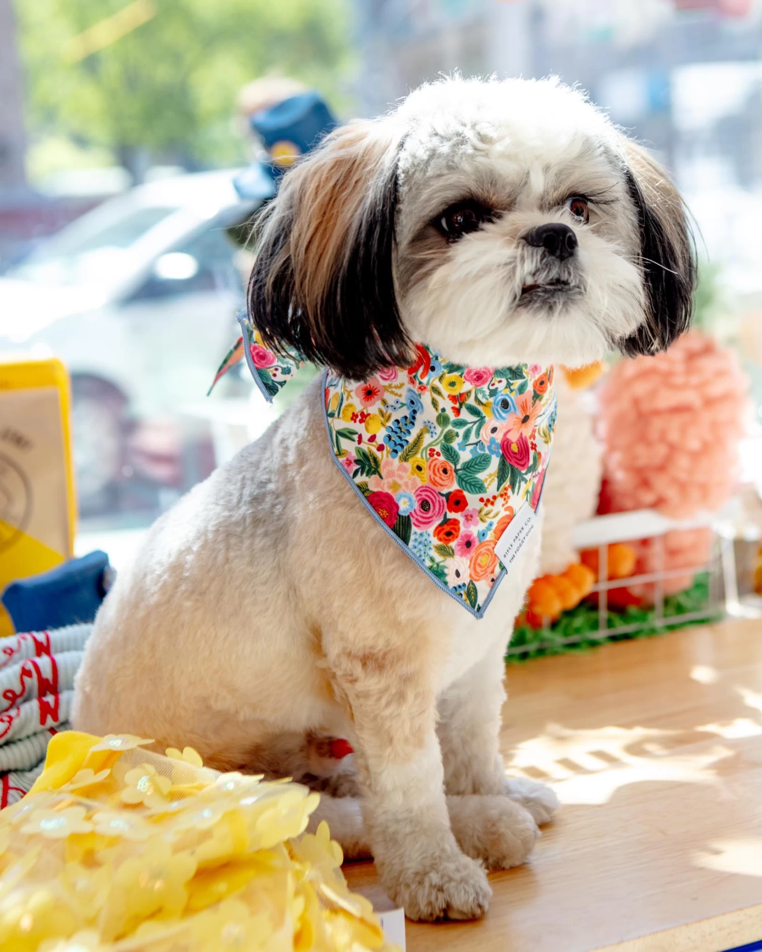 THE FOGGY DOG Rifle Paper Co. X Tfd Garden Party Spring Dog Bandana (Made In The USA) - Image 3
