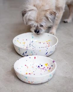FELT + FAT Ceramic Pet Bowl In Confetti (Made In The USA)