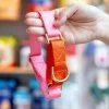MAJOR DARLING Martingale Dog Collar In Pink + Orange (Made In The USA)