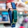 MAJOR DARLING Martingale Dog Collar In Navy + Evergreen (Made In The USA)