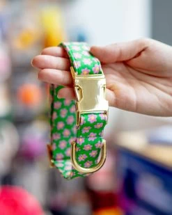 THE FOGGY DOG Flower Power Dog Collar (Made In The USA)
