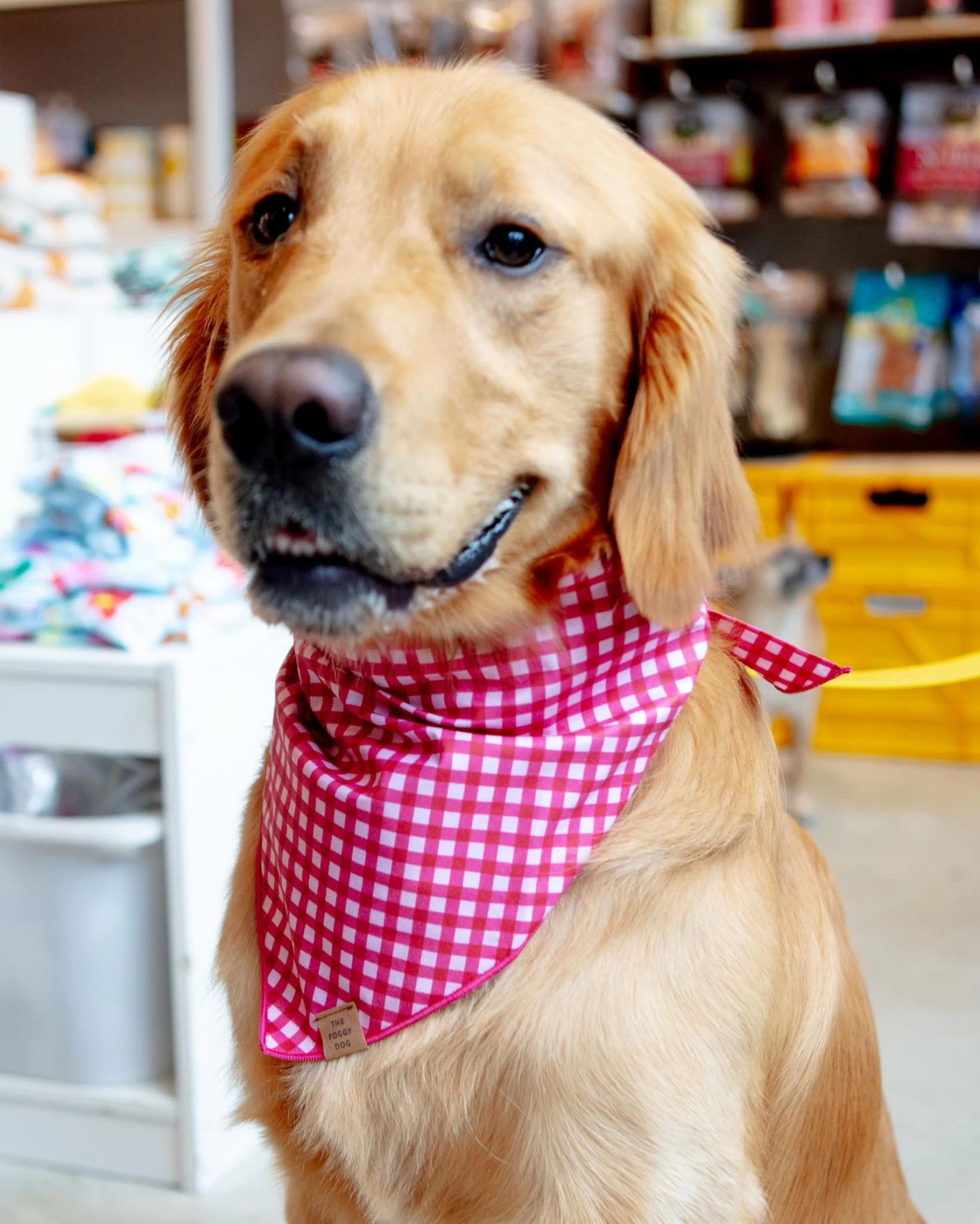 THE FOGGY DOG Raspberry Gingham Dog Bandana (Made In The USA)