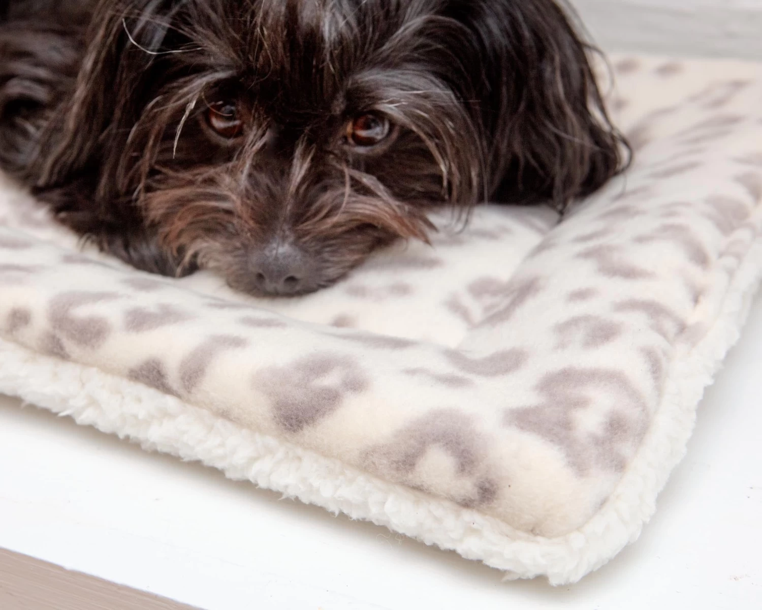 MUTTS & MITTENS Cream Leopard Plush Fleece Pet Napping Mat (Made In The USA) - Image 3
