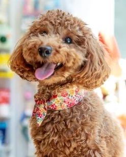 MODERN BEAST Red Floral Neck Tie (Made In The USA)