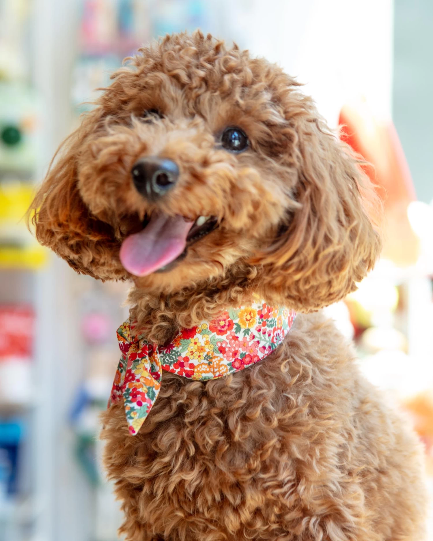 MODERN BEAST Red Floral Neck Tie (Made In The USA)