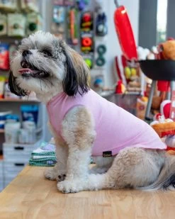 GOLD PAW Sun Shield Tee In Pink Lemonade (Made In The USA)