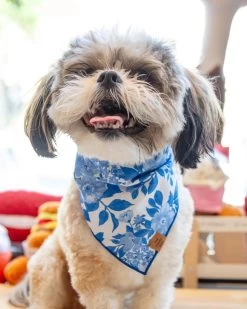 THE FOGGY DOG Blue Roses Spring Dog Bandana (Made In The USA)