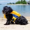 BAY DOG Monterey Bay Dog Life Jacket In Nautical Yellow