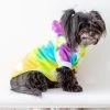 SHANNA'S TIE DYE Tie Dye Dog Hoodie In Rainbow