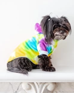 SHANNA'S TIE DYE Tie Dye Dog Hoodie In Rainbow