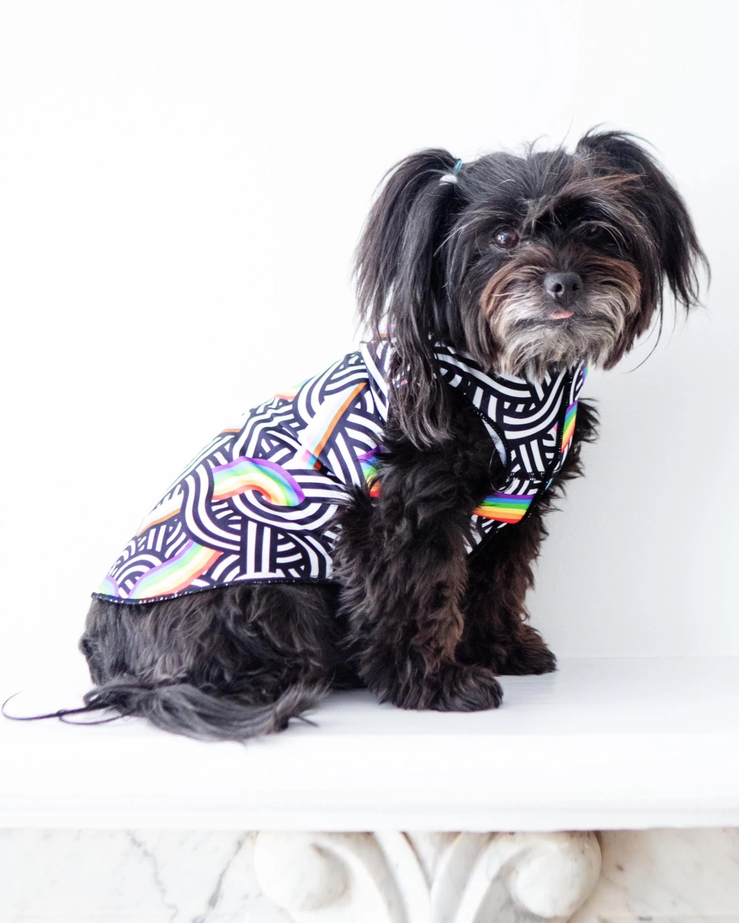 GOLD PAW Sun Shield Tee In Rainbow Pride Print (Made In The USA) - Image 3