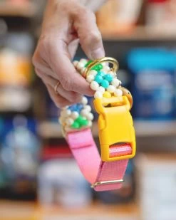 SUSAN ALEXANDRA Broadway Beaded Dog Collar In Matinee (Made In The USA)