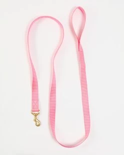 MAJOR DARLING Basic Nylon Dog Leash In Pink (Made In The USA)