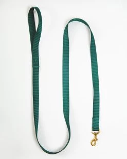 MAJOR DARLING Basic Nylon Dog Leash In Evergreen (Made In The USA)