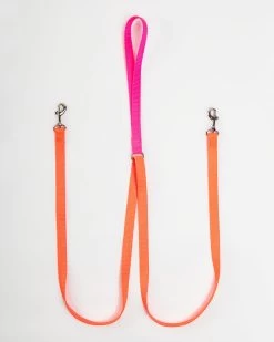 2 HOUNDS For DOG & CO. (Exclusive) Double Clip Training Leash In Hot Pink + Neon Orange (Made In The USA)