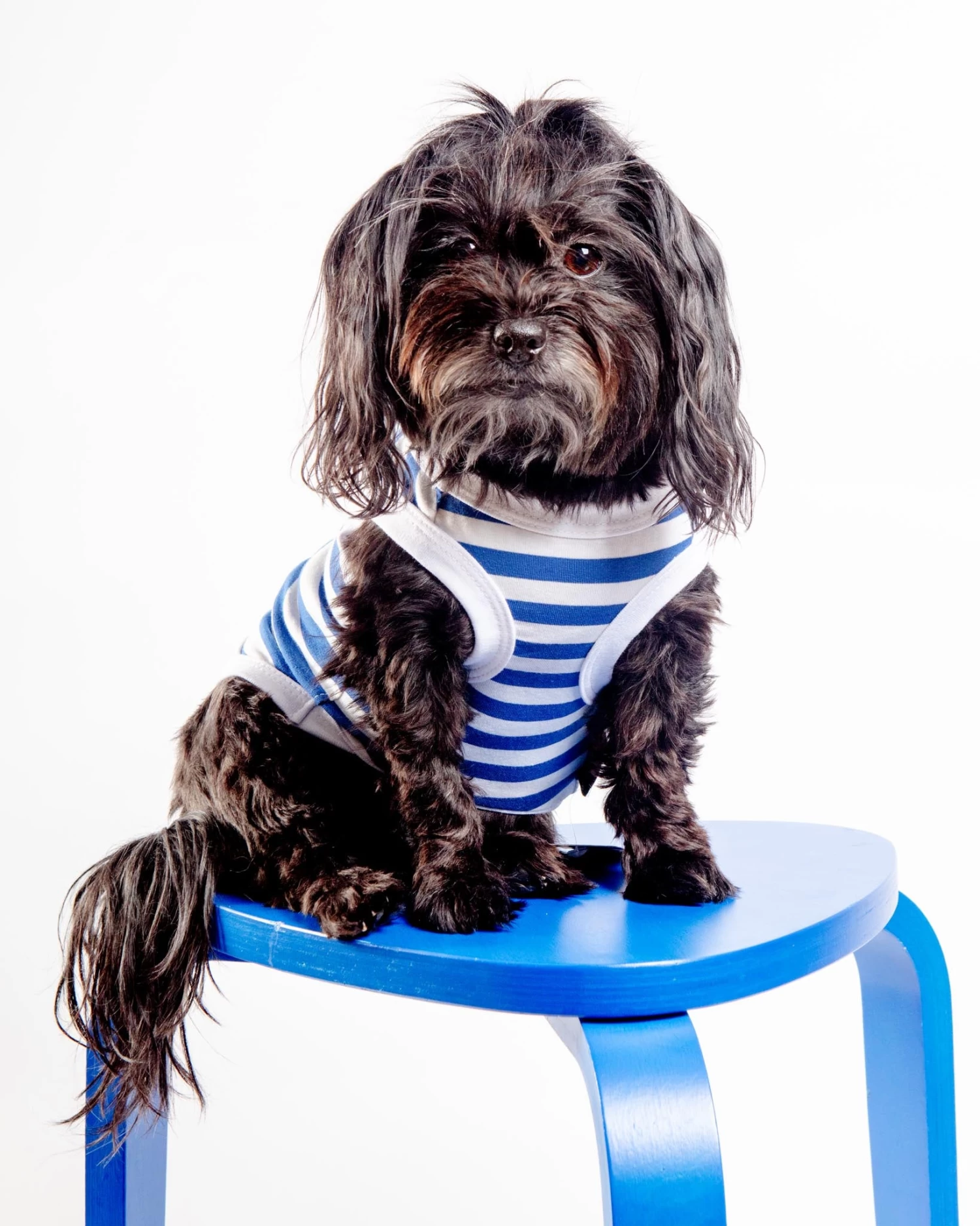PARISIAN PETS Captain Dog Tank Top In Blue & White Stripe - Image 2