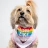 DOG & CO. Love Like A Dog Pride Bandana