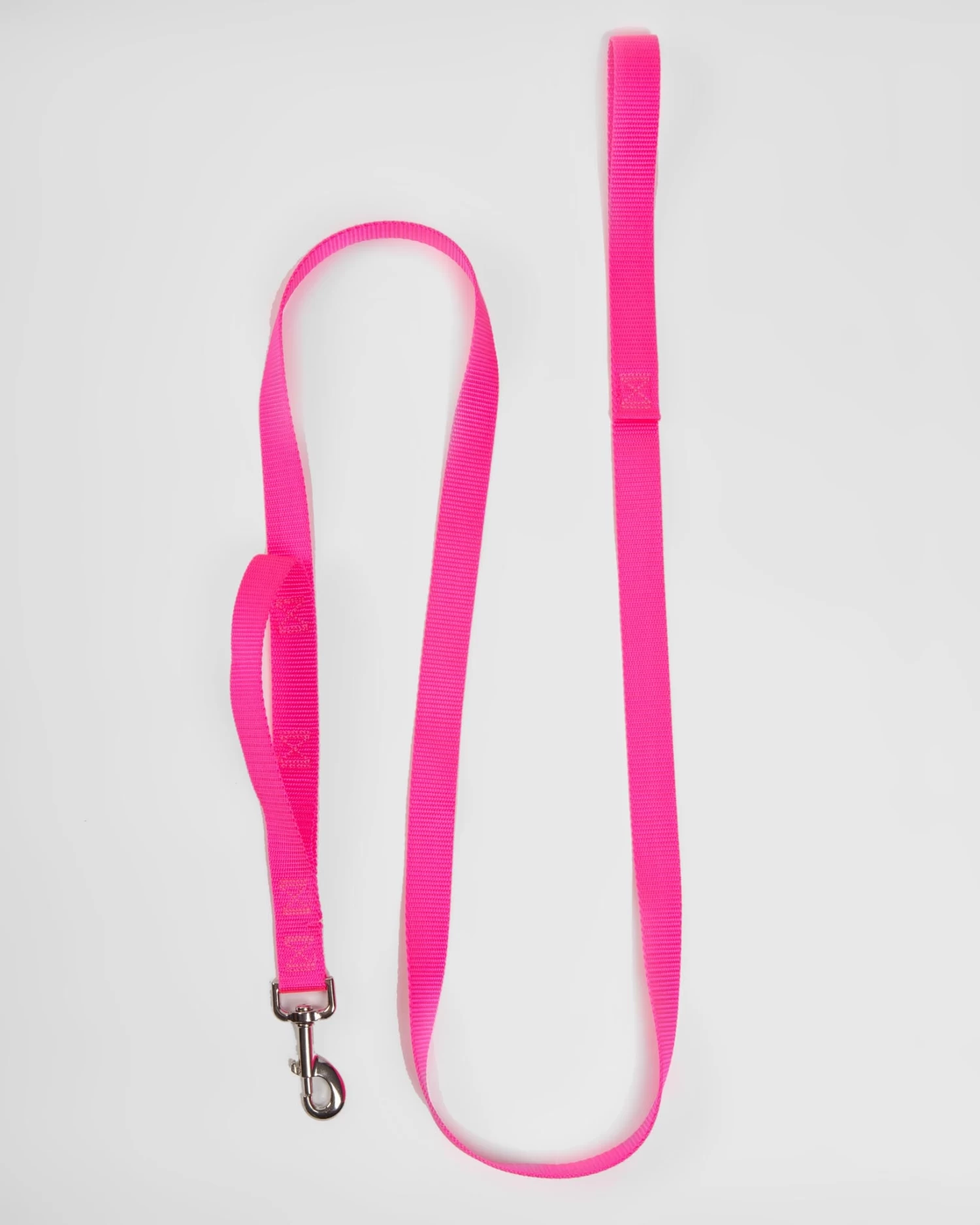 2 HOUNDS For DOG & CO. (Exclusive) Nylon Dog Leash In Neon Pink (Made In The USA)