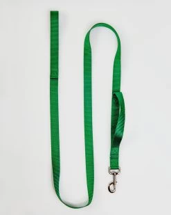 2 HOUNDS For DOG & CO. (Exclusive) Nylon Dog Leash In Hunter Green (Made In The USA)