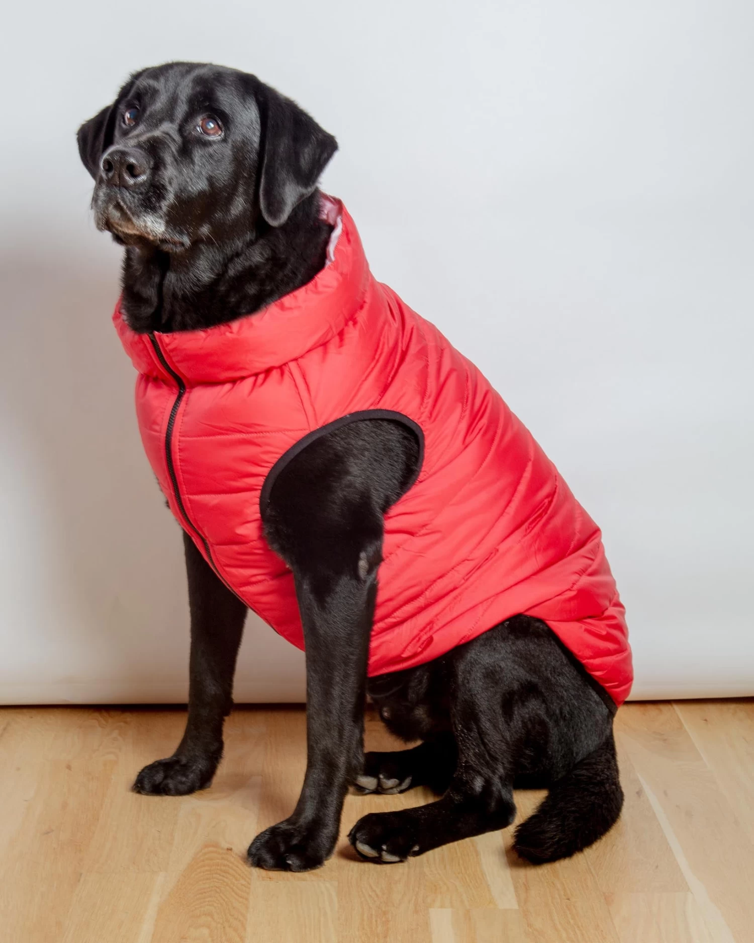 AIRYVEST For DOG & CO. Reversible AiryVest In Strawberry + Blush (DOG & CO. Exclusive) (FINAL SALE) - Image 10