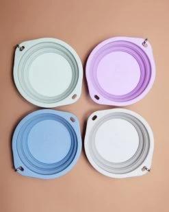BARKWELL Collapsible Silicone Travel Dog Bowl