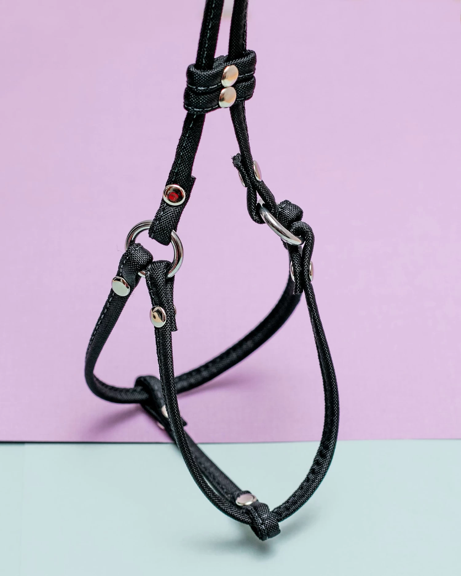 DOG & CO. Nylon Step-In Adjustable Dog Harness In Black (Made In The USA) - Image 2