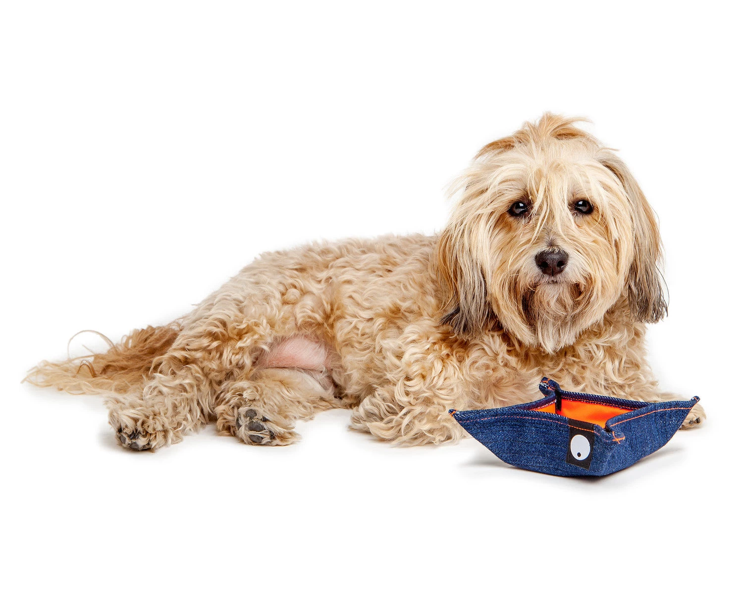 DOG & CO. COLLECTION Bandana Bowl For Dogs - Image 10