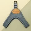 CHARLIE'S BACKYARD Buckle Up Easy Dog Harness In Gray