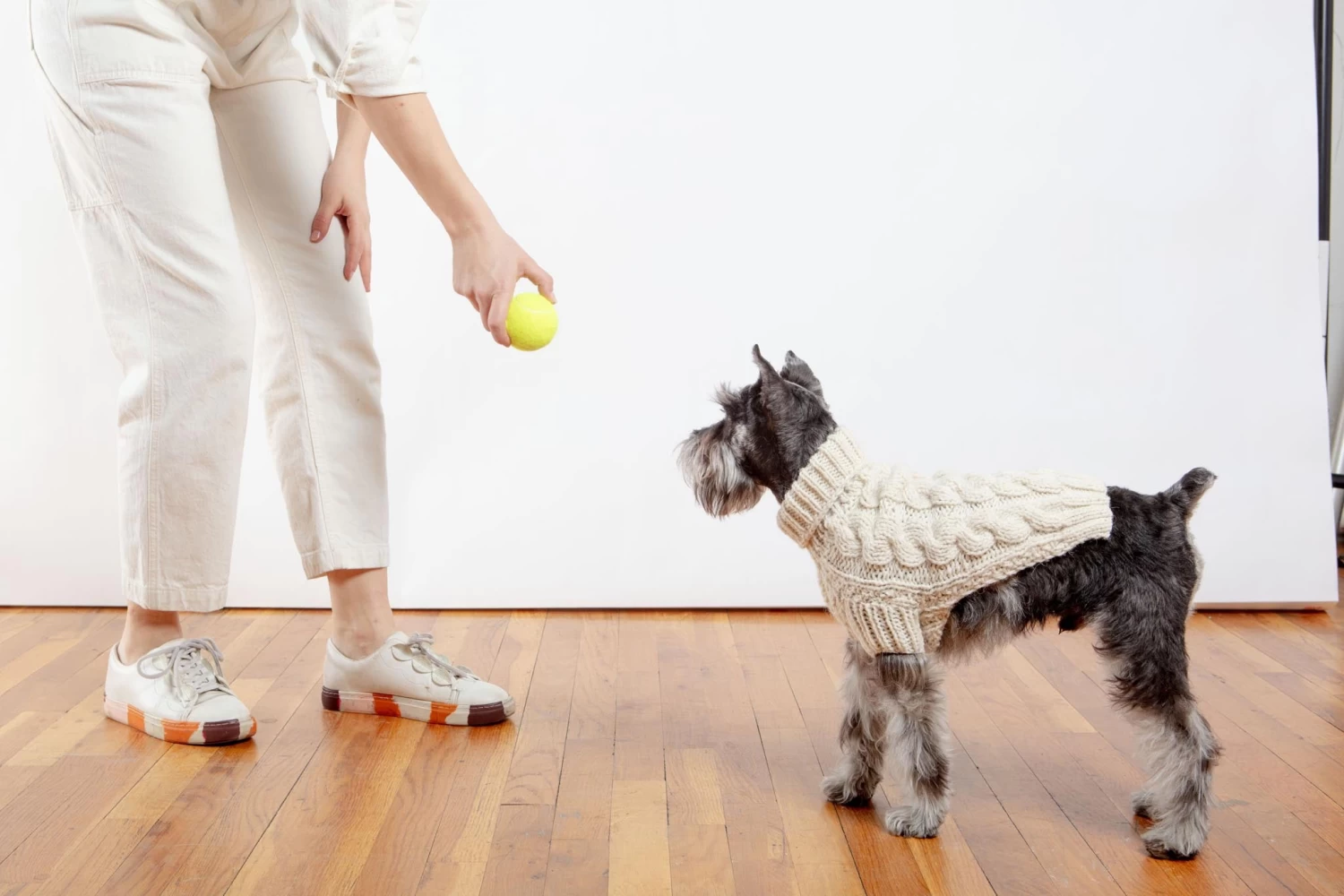 DOG & CO. COLLECTION Downtown Roll Neck Dog Sweater In Natural - Image 10