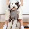 DOG & CO. COLLECTION Downtown Roll Neck Dog Sweater In Grey
