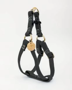 FOUND MY ANIMAL Cotton Webbing Dog Harness In Black (Made In The USA) (FINAL SALE)