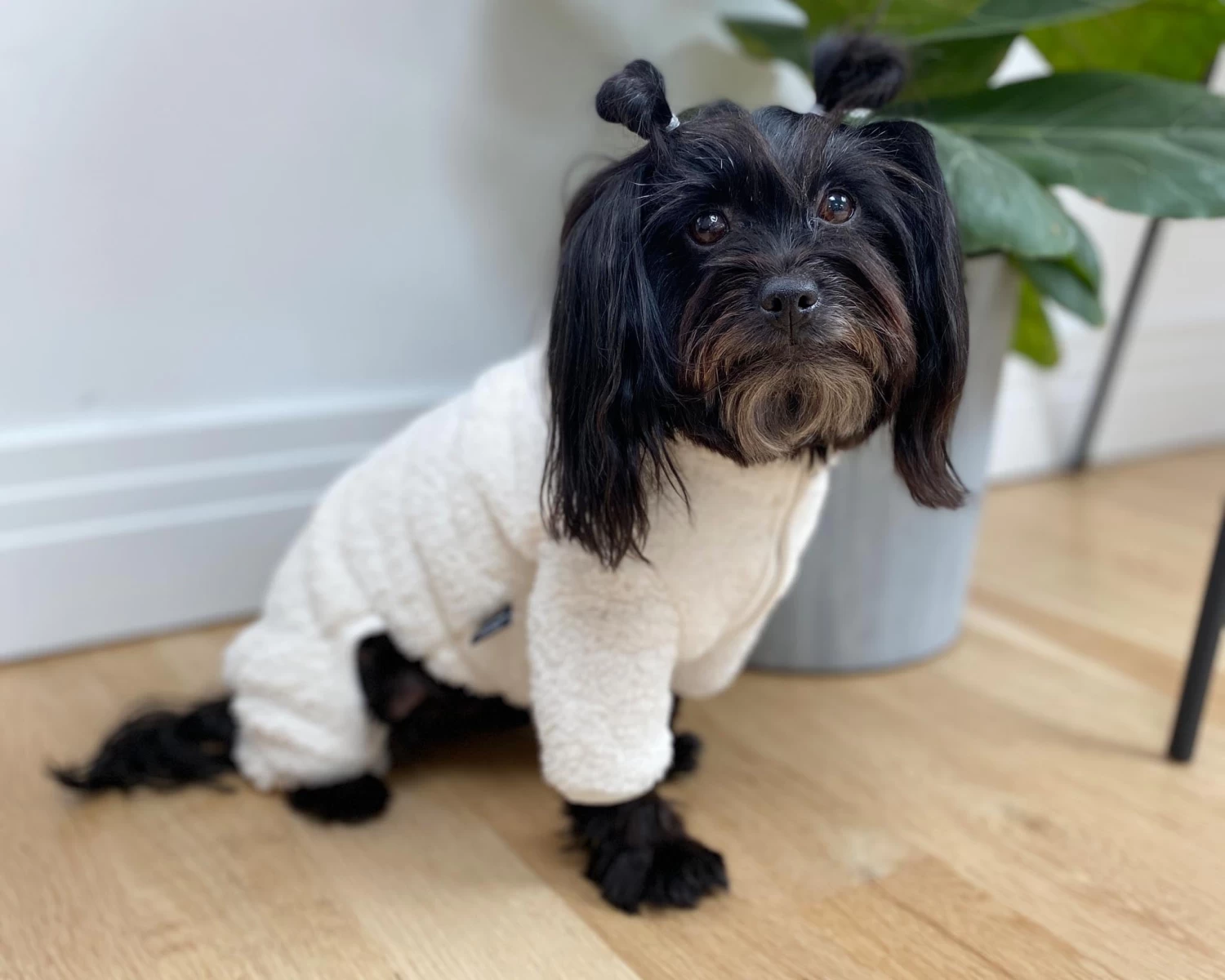 DENTISTS APPOINTMENT Boa Fleece Onesie In Cream (Dog & Co. Exclusive) - Image 6