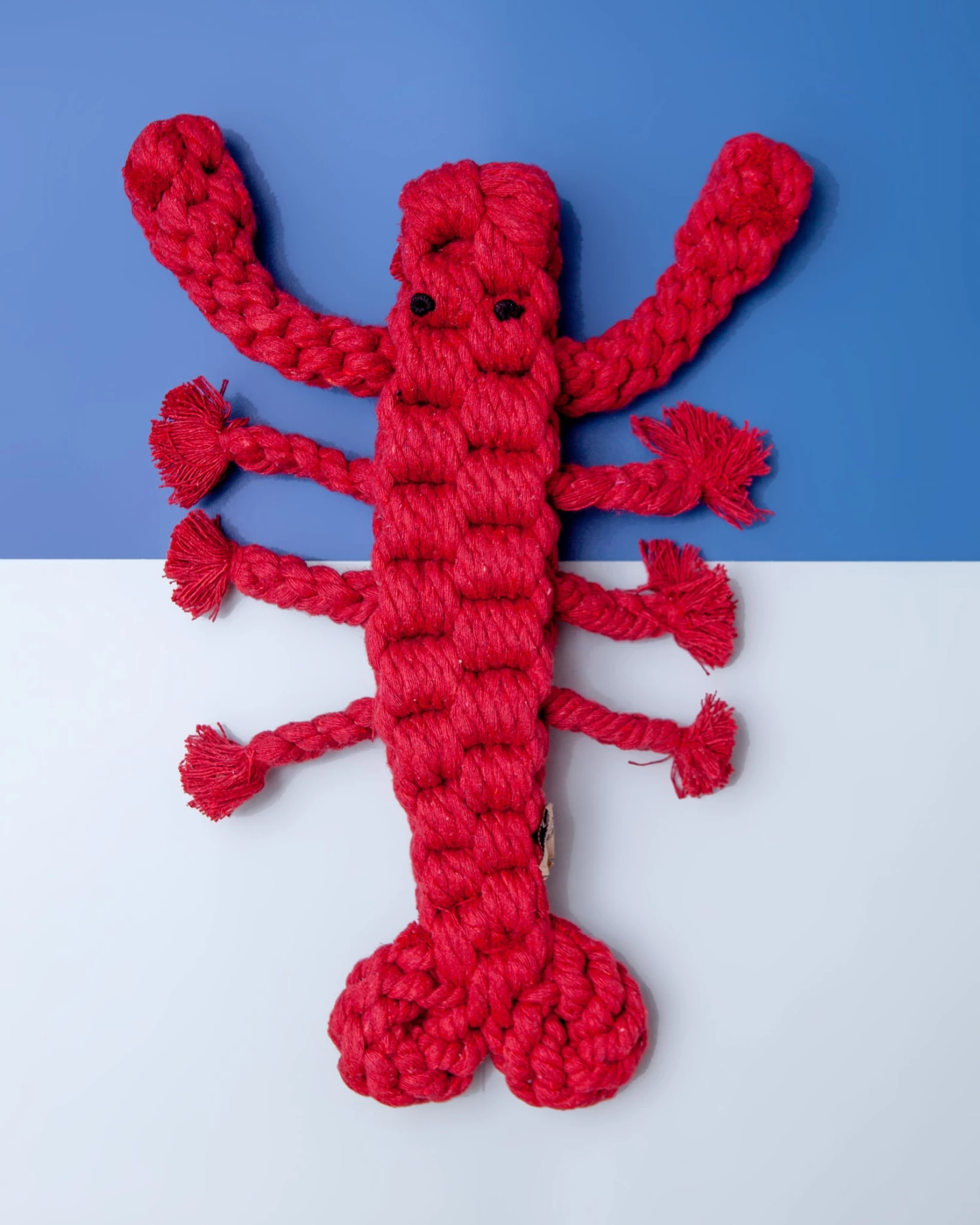 JAX & BONES Louie The Lobster Rope Dog Toy - Image 3