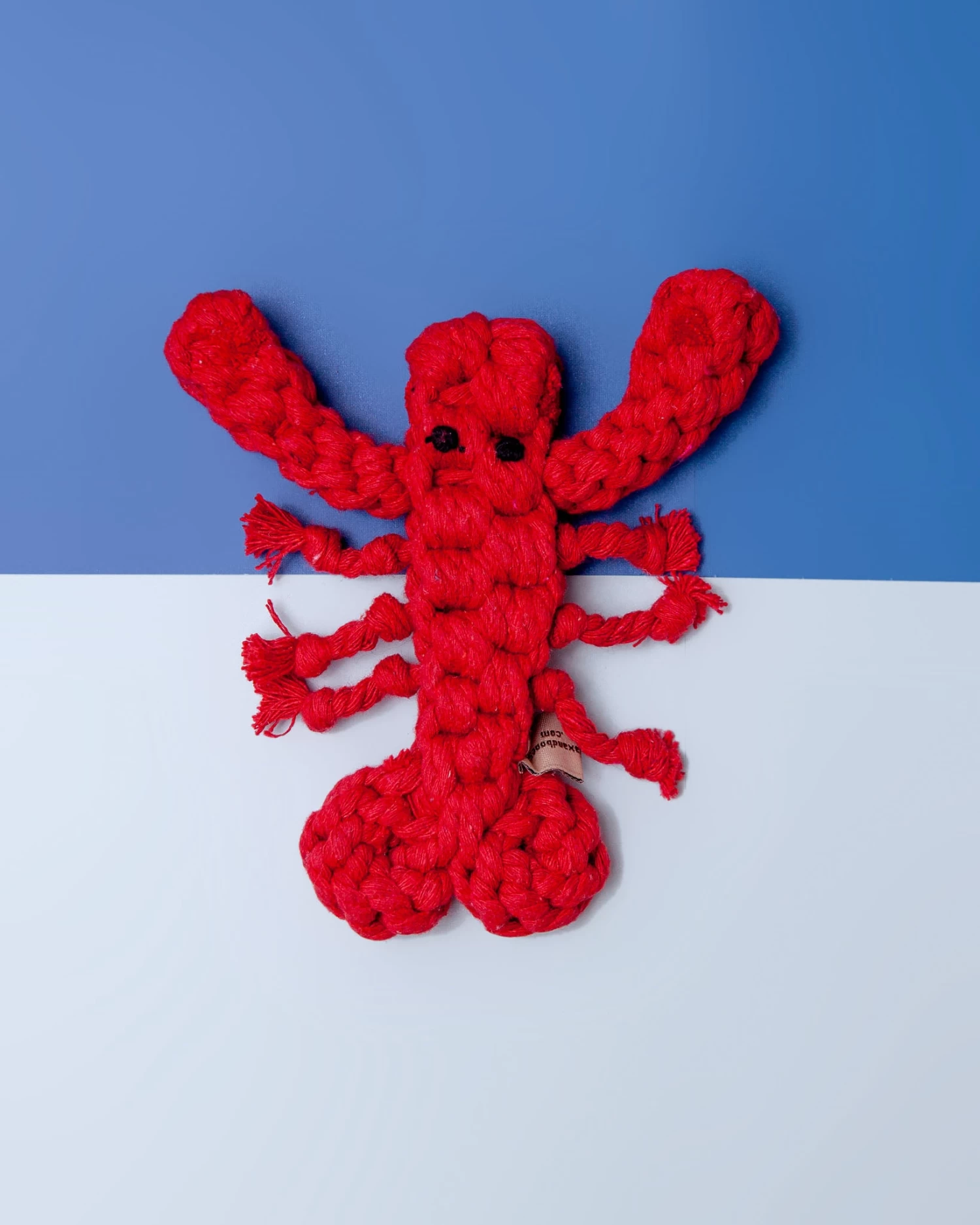 JAX & BONES Louie The Lobster Rope Dog Toy - Image 2