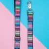 DOG & CO. COLLECTION Rainbow Serape + Leopard Dog Leash (Made In NYC)