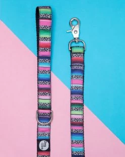 DOG & CO. COLLECTION Rainbow Serape + Leopard Dog Leash (Made In NYC)