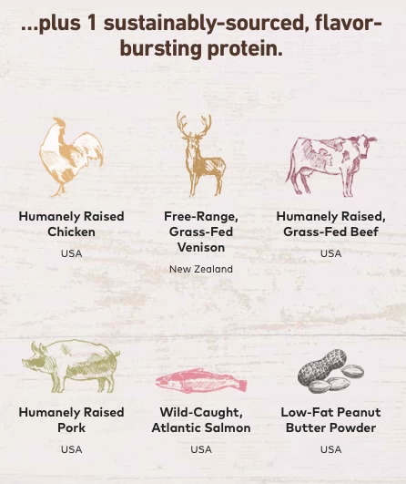 EARTH ANIMAL No-Hide Wholesome Dog Chew In Peanut Butter - Image 11