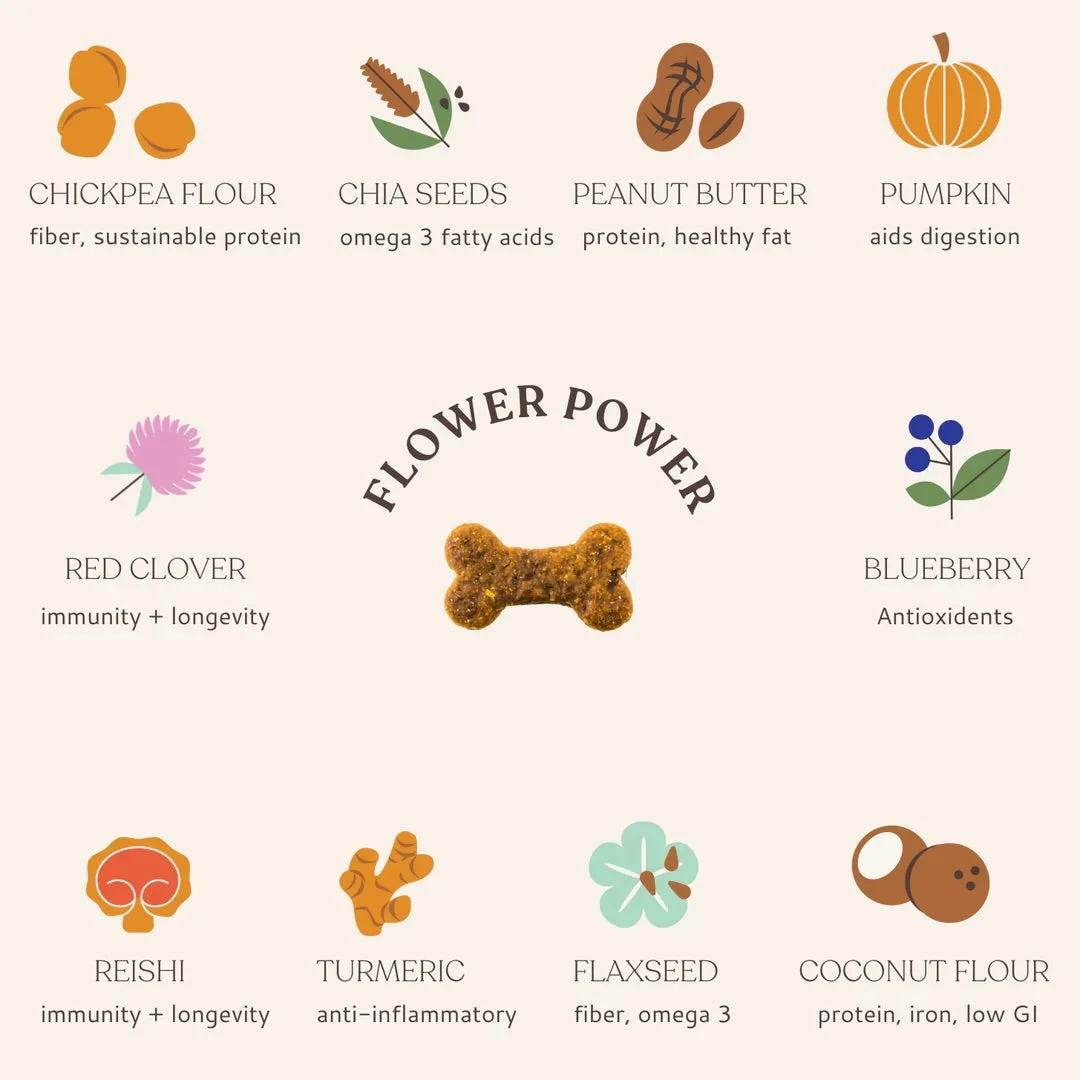 BOTANICAL BONES Flower Power Superfood Dog Treats - Image 2
