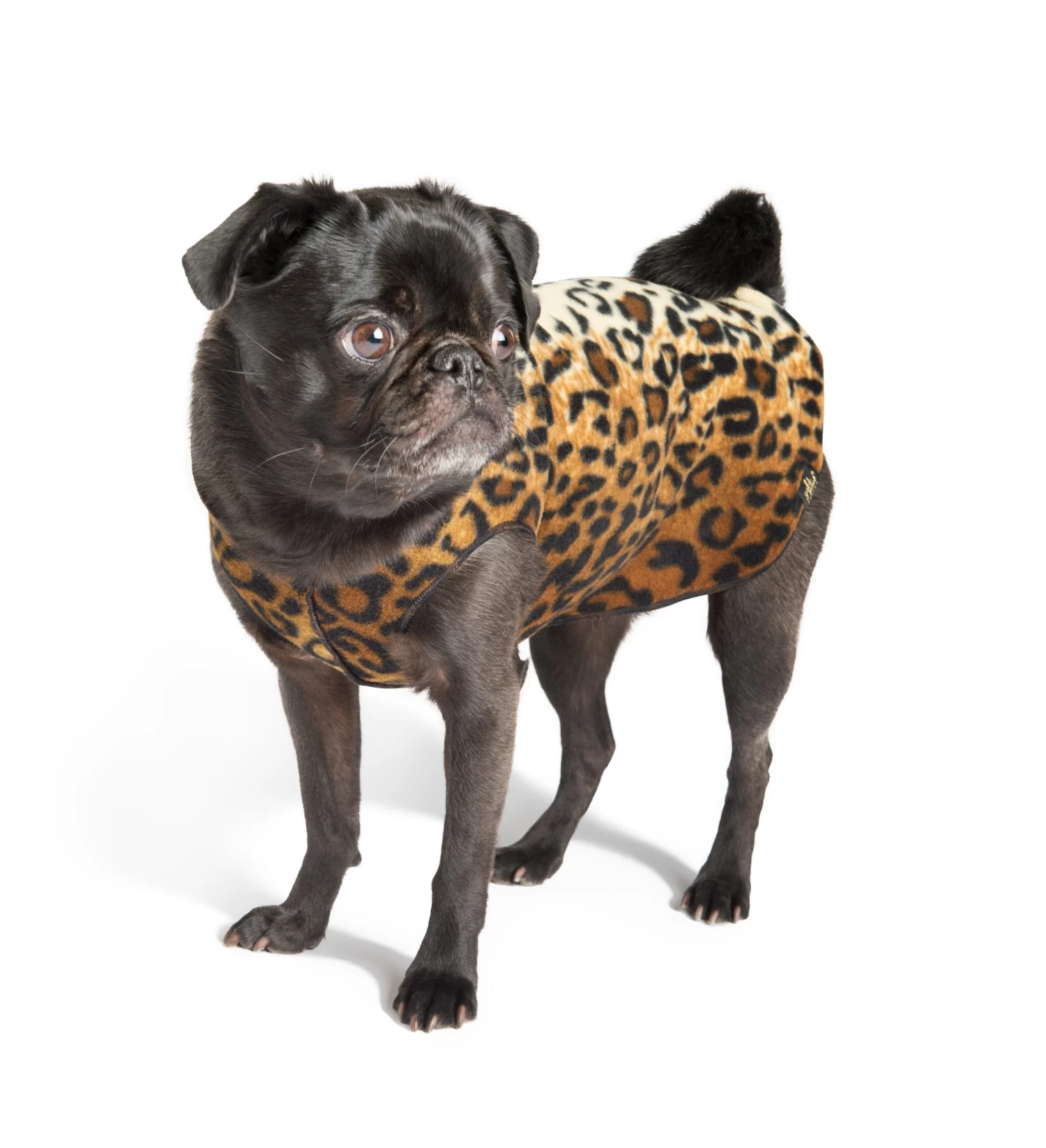 GOLD PAW Stretch Fleece Pullover In Leopard Print - Image 5