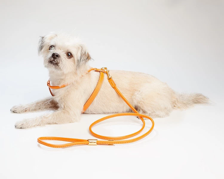 LA CINOPELCA Italian Leather Harness In Orange - Image 3
