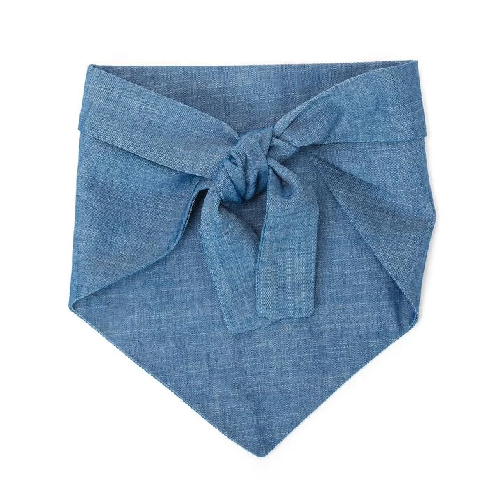 MODERN BEAST My Dad Is Single Chambray Bandana (Made In The USA) - Image 6