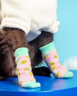 DOGGIE DESIGN Non-Skid Dog Socks In Pineapple