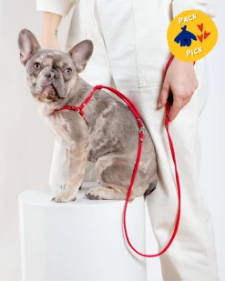 DOG & CO. Nylon Step-In Adjustable Dog Harness In Red (Made In The USA)