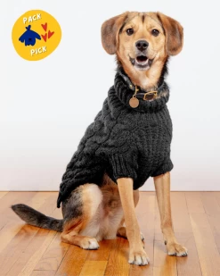 DOG & CO. COLLECTION Downtown Roll Neck Dog Sweater In Black (FINAL SALE)