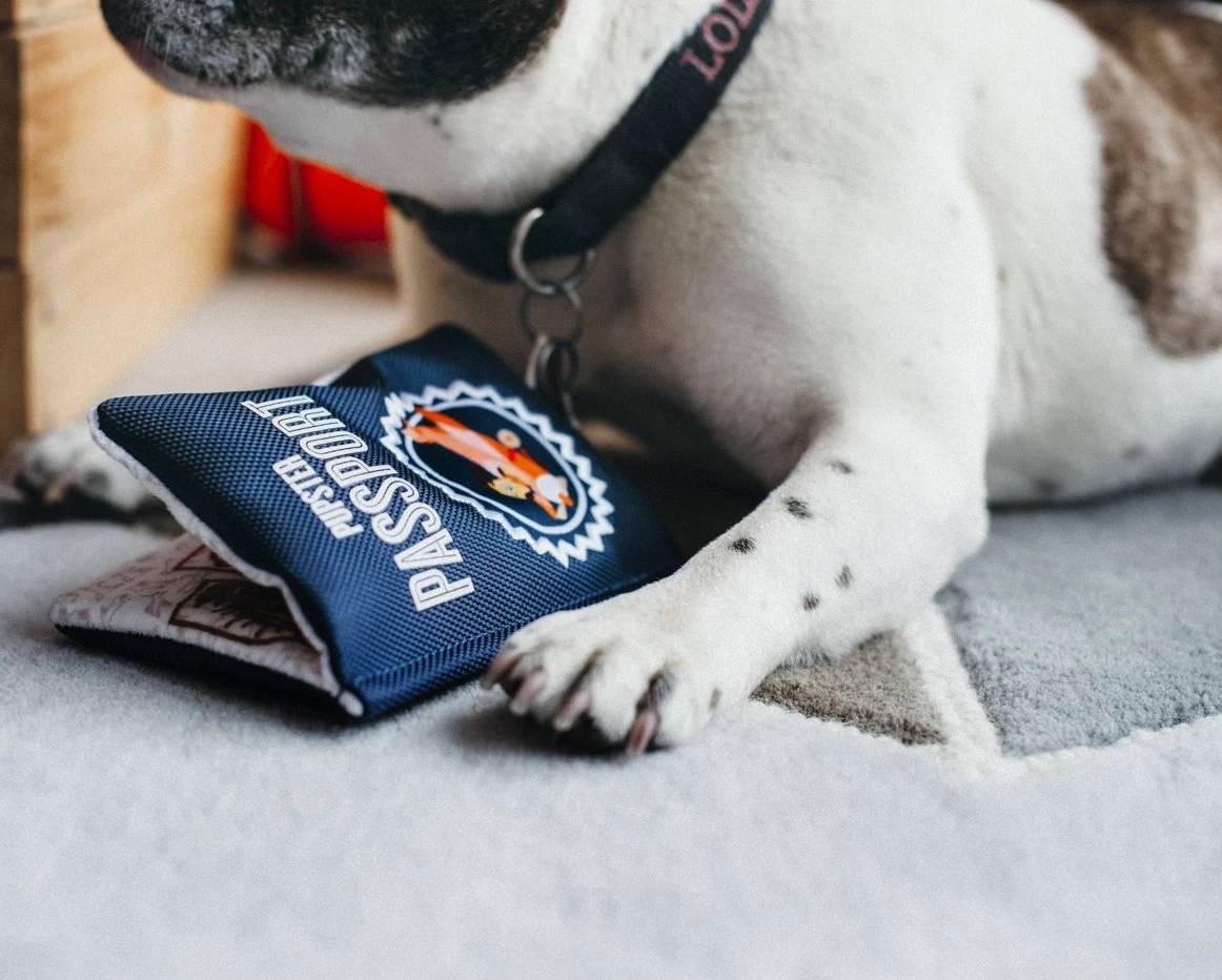 P.L.A.Y. Pupster Passport Crinkle Dog Toy - Image 6